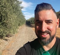 Waikerie olive grove to create 100s of jobs post image