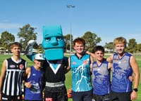 Power charge up the Riverland post image