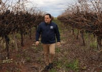 Wine industry’s Federal Budget ‘crisis’ warning post image