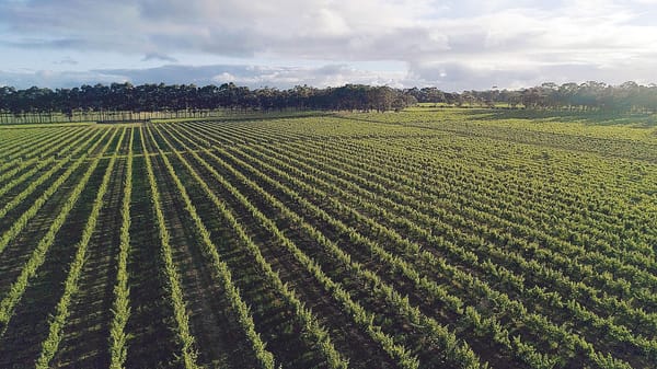 Price woes post image