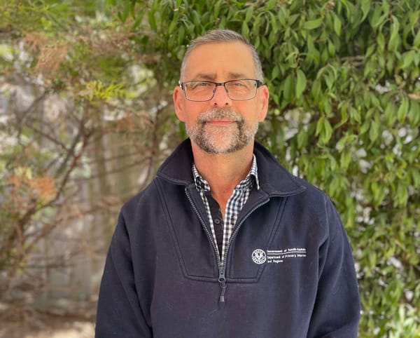 Don’t pack fruit fly this Easter post image