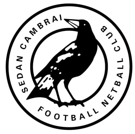 Magpies begin hunt for new football coach post image