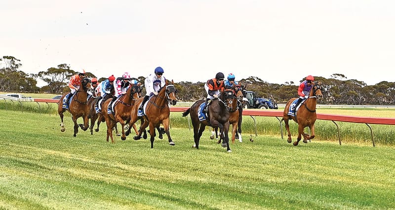 Fantastic plastic for racing club post image