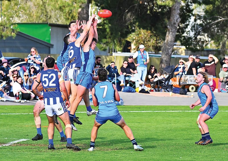 Successful year at league level post image