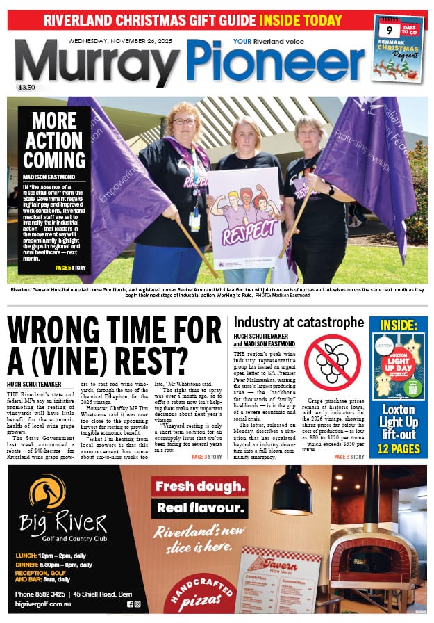 November 26, 2025 post image