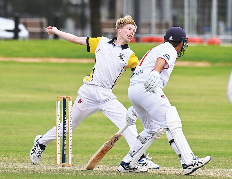 Watson falls agonisingly short of century post image