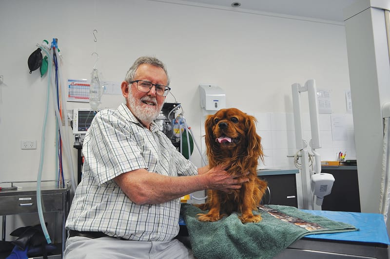 John’s pawsome service awarded post image