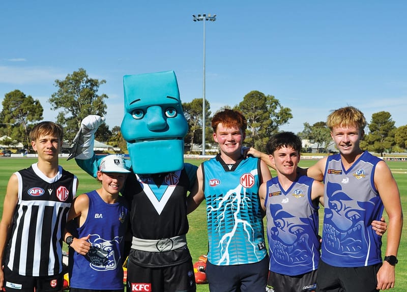 Power charge up the Riverland post image