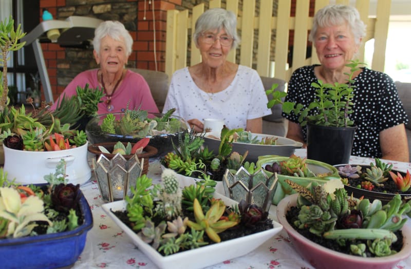 Paringa WAB plans for future post image