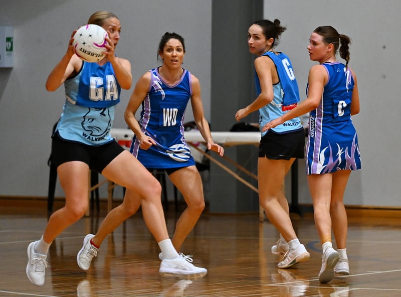 Cats planning on coming back for more post image