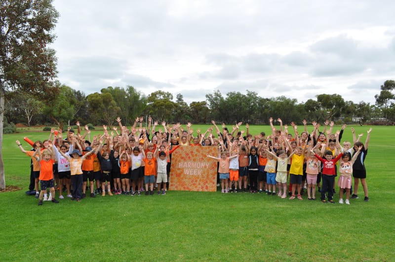 Barmera’s showing of Harmony post image