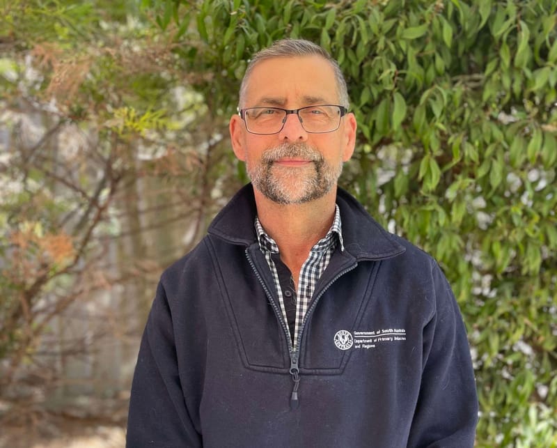 Don’t pack fruit fly this Easter post image